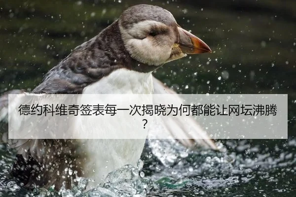 德约科维奇签表每一次揭晓为何都能让网坛沸腾？